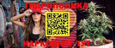 хмурый Берёзовский